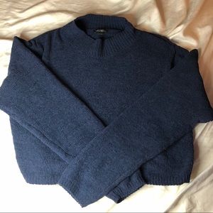 Cropped Wild Fable Sweater